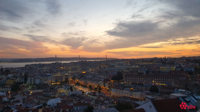 Miradouro da Senhora do Monte